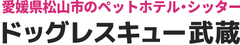 ドッグレスキュー武蔵|愛媛県松山市
